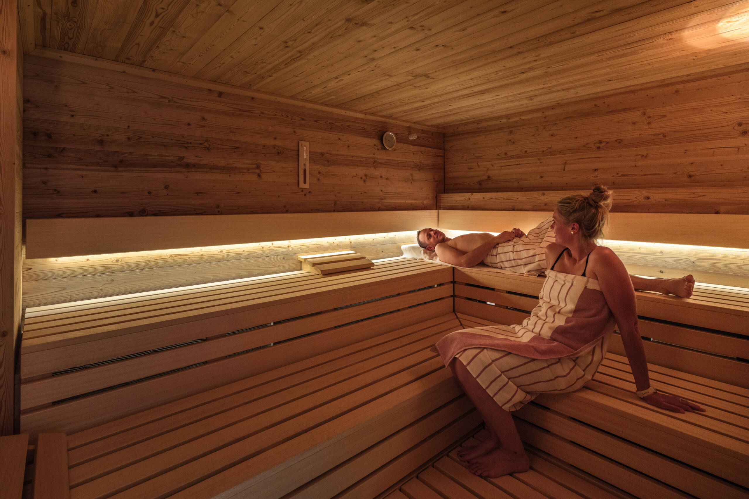 Wellness Sauna
